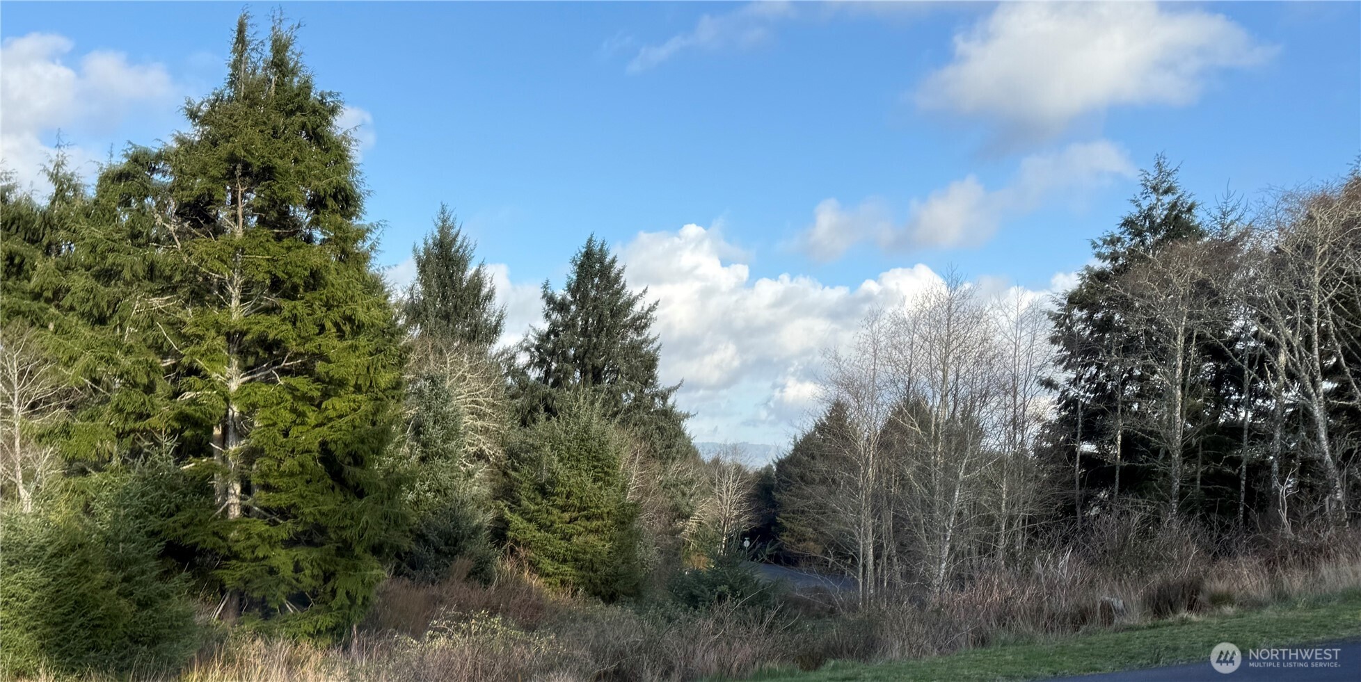 0 Lighthouse Keepers Road Ilwaco, WA 98624 - Photo 4 of 5 a view of a trees in a field