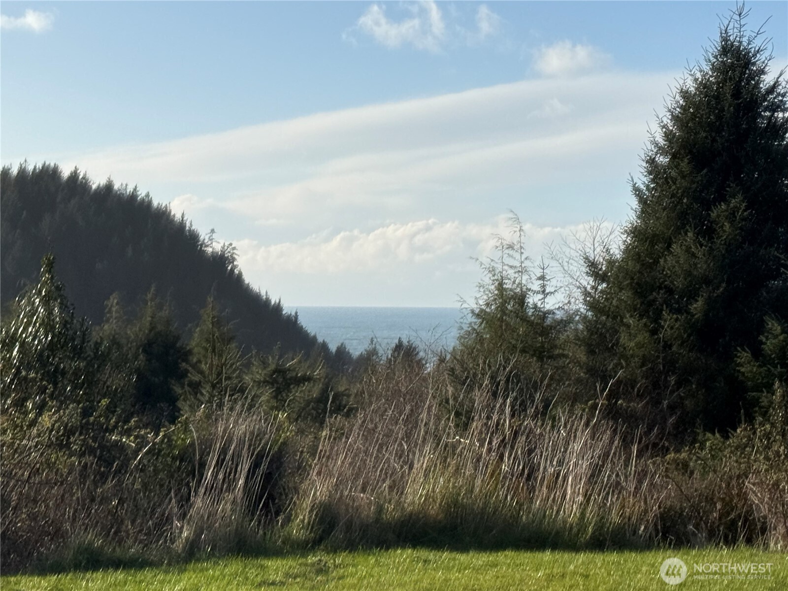 0 Lighthouse Keepers Road Ilwaco, WA 98624 - Photo 5 of 5 a view of outside space and yard