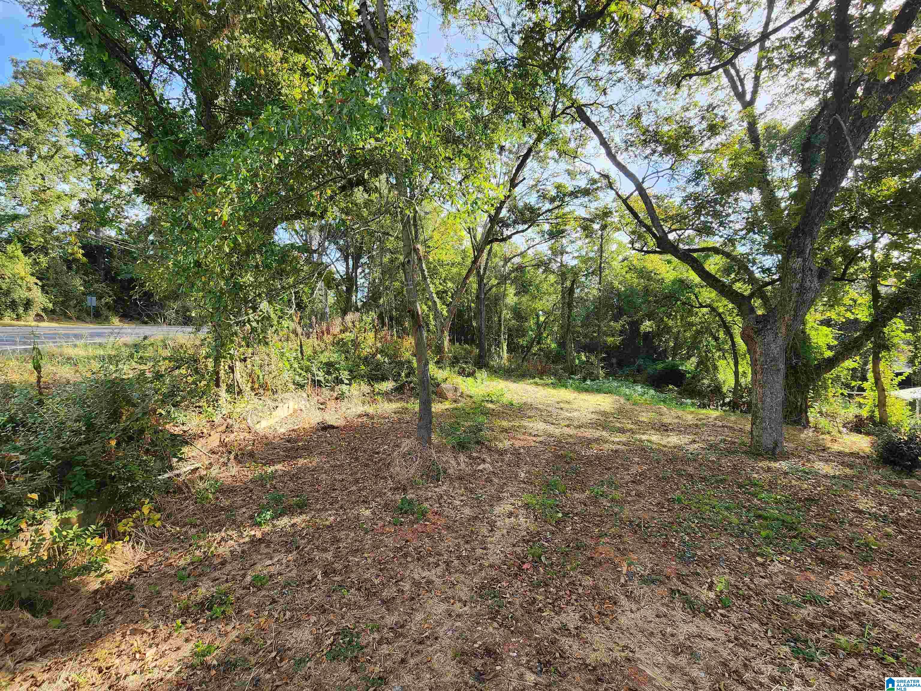 0 Highway 9 Goodwater, AL 35072 - Photo 2 of 24