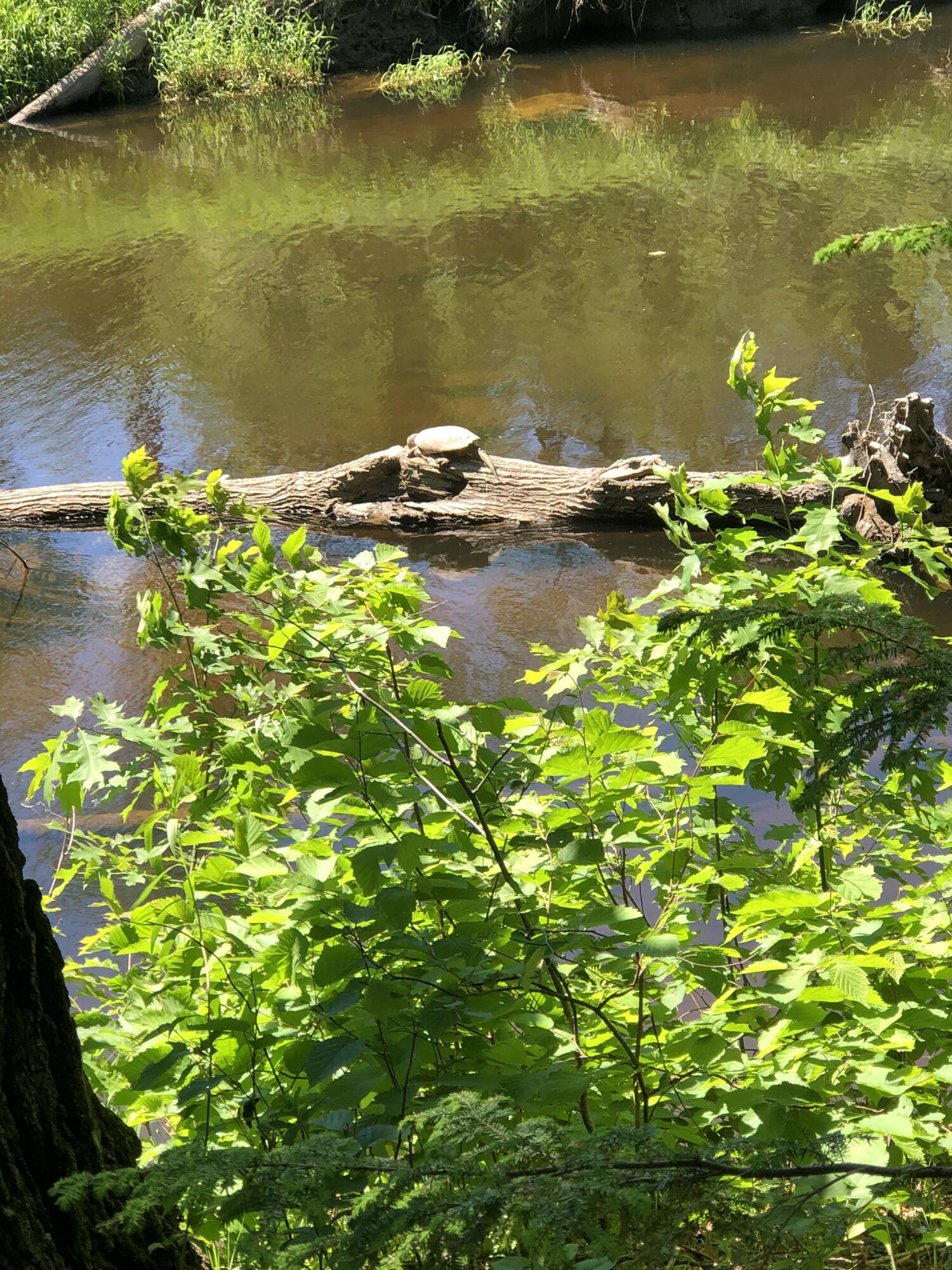 171 Fisher Road Monroe, ME 04951 - Photo 5 of 15 IMG_5828
