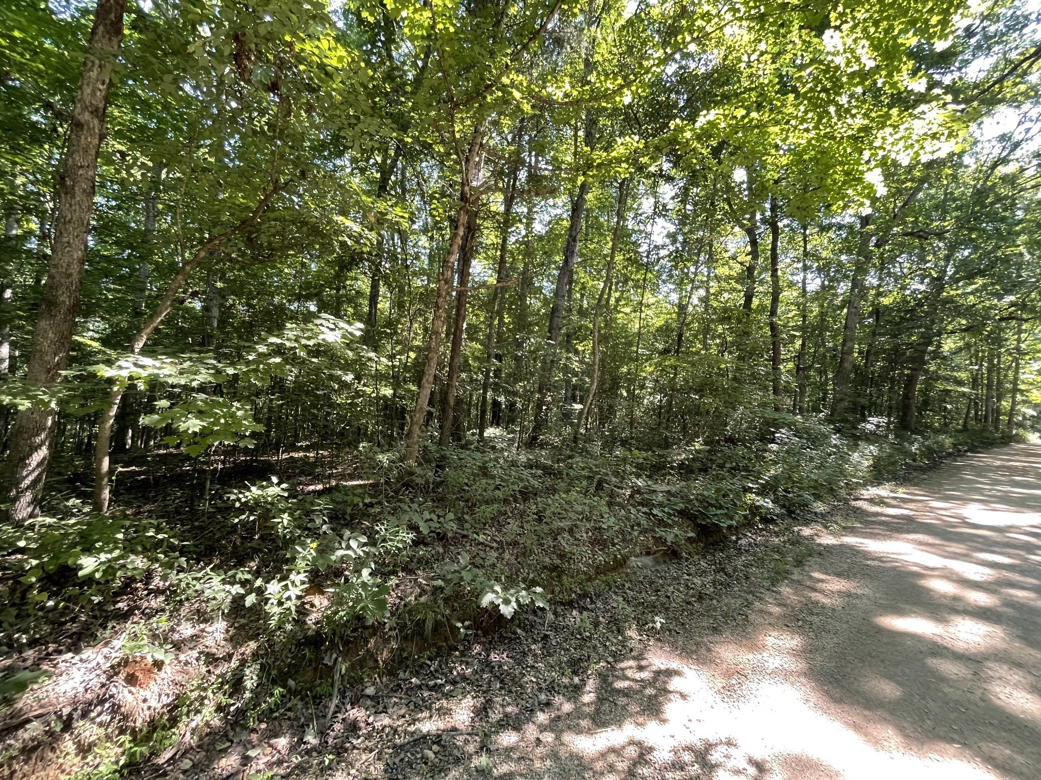0 Greenbriar Road Stewart, TN 37175 - Photo 2 of 5 Gallery Image 2