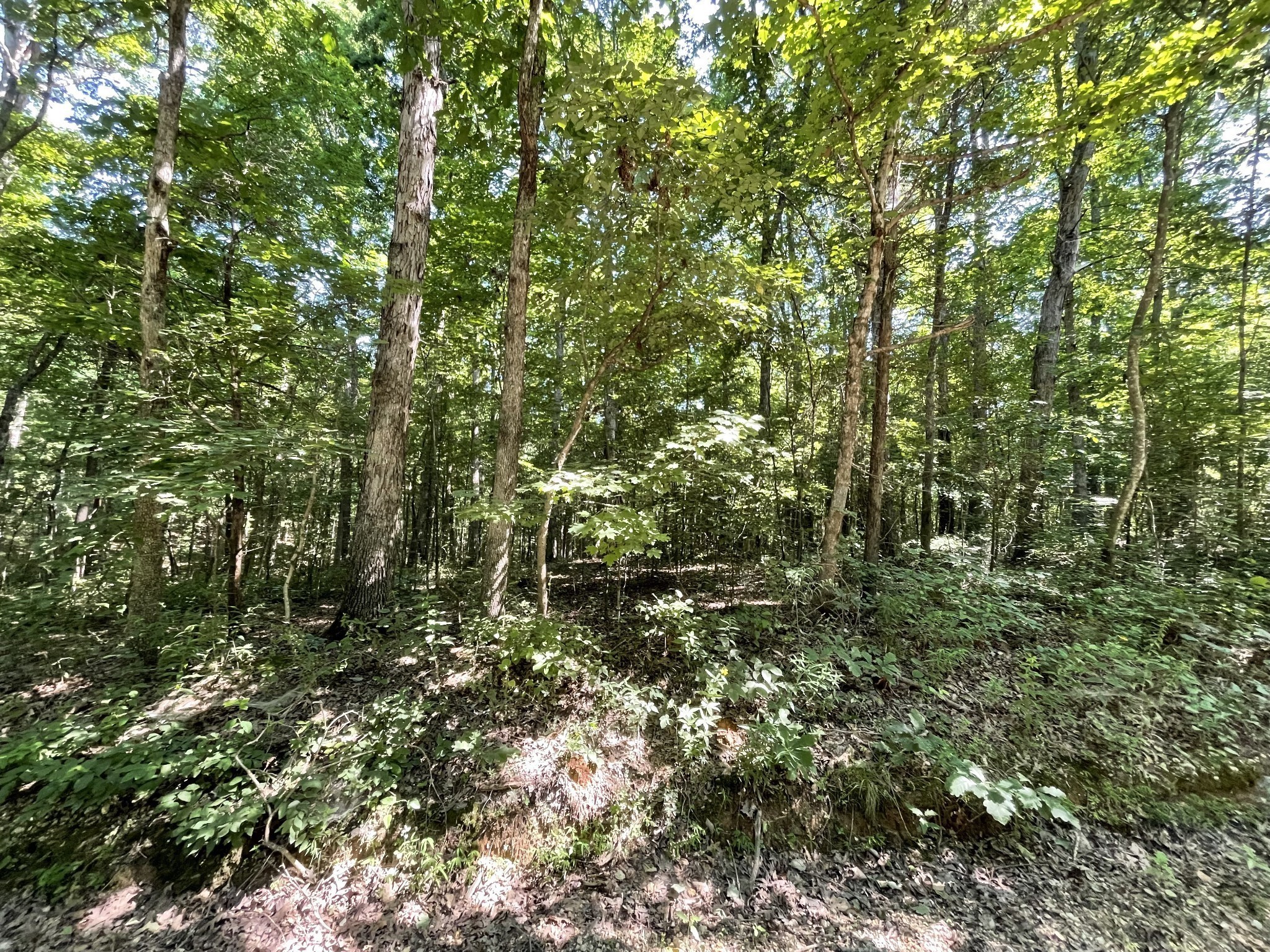 0 Greenbriar Road Stewart, TN 37175 - Photo 3 of 5 Gallery Image 3