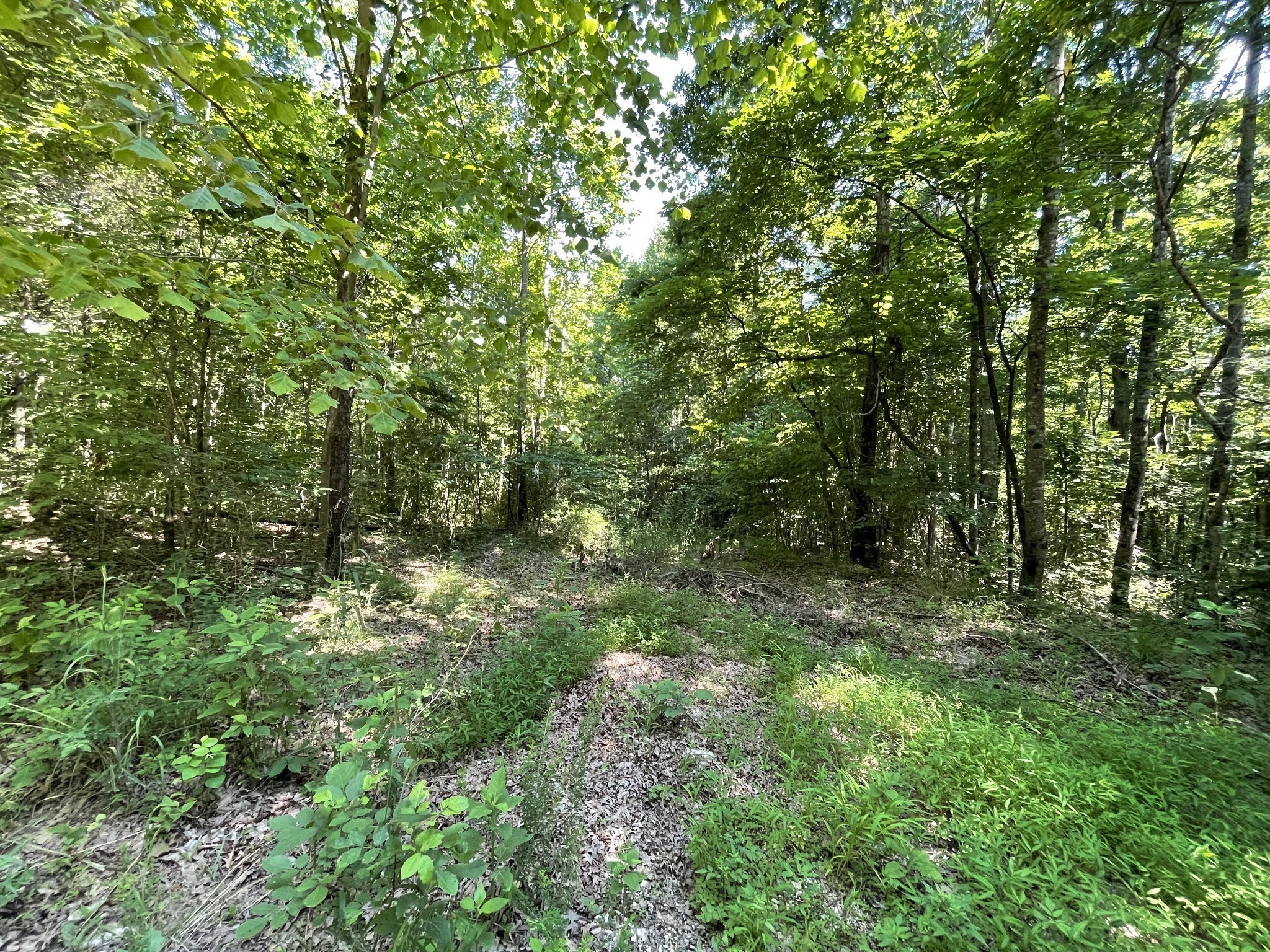 0 Greenbriar Road Stewart, TN 37175 - Photo 4 of 5 Gallery Image 4