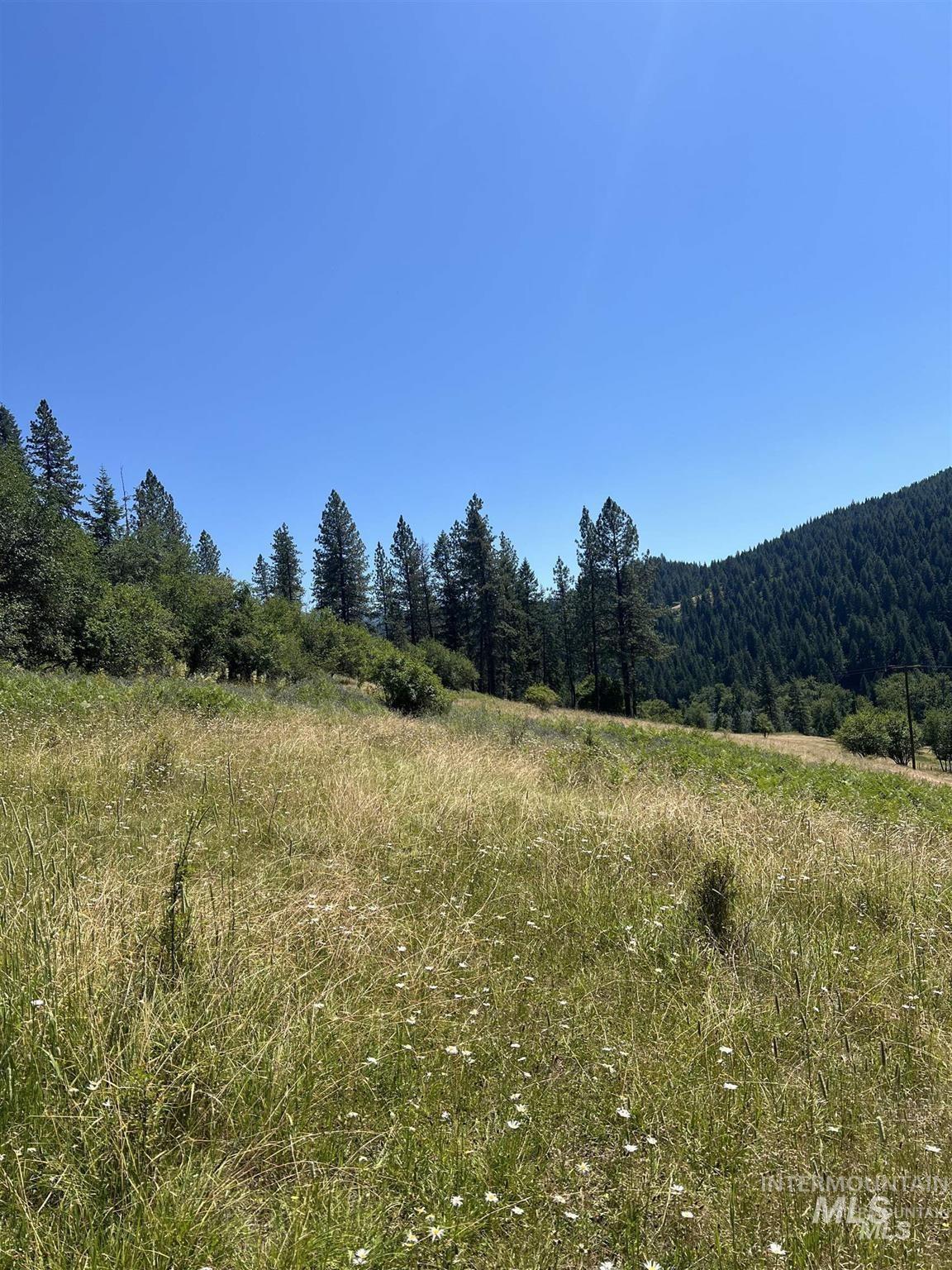 Nka Clearcreek Road Kooskia, ID 83539 - Photo 3 of 25 Mountain view with a heavily wooded area and rural landscape