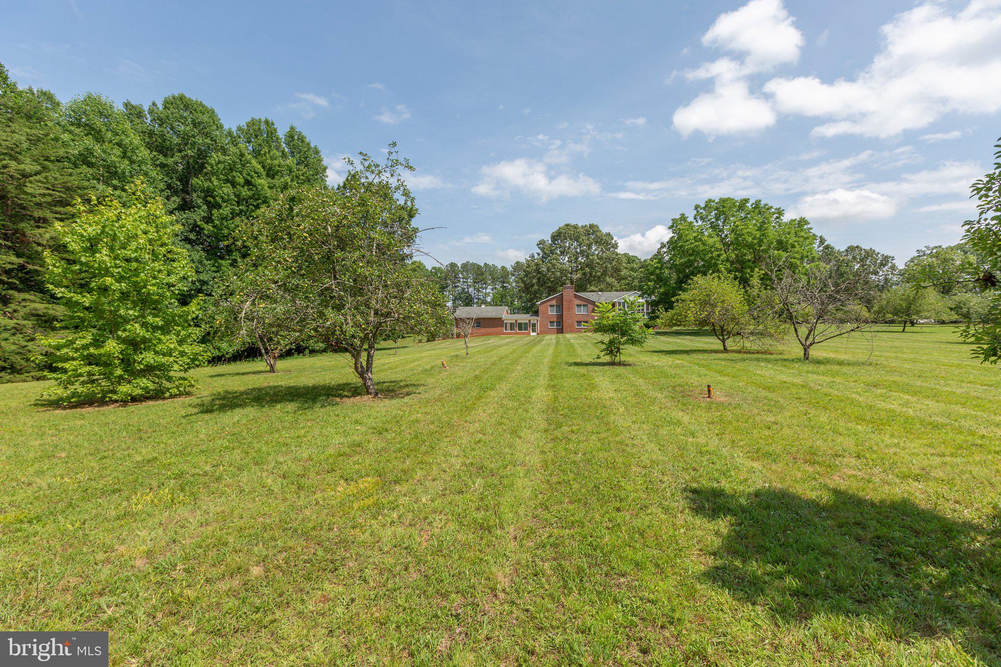 71 Cosner Road Louisa, VA 23093 - Photo 59 of 82 Backyard