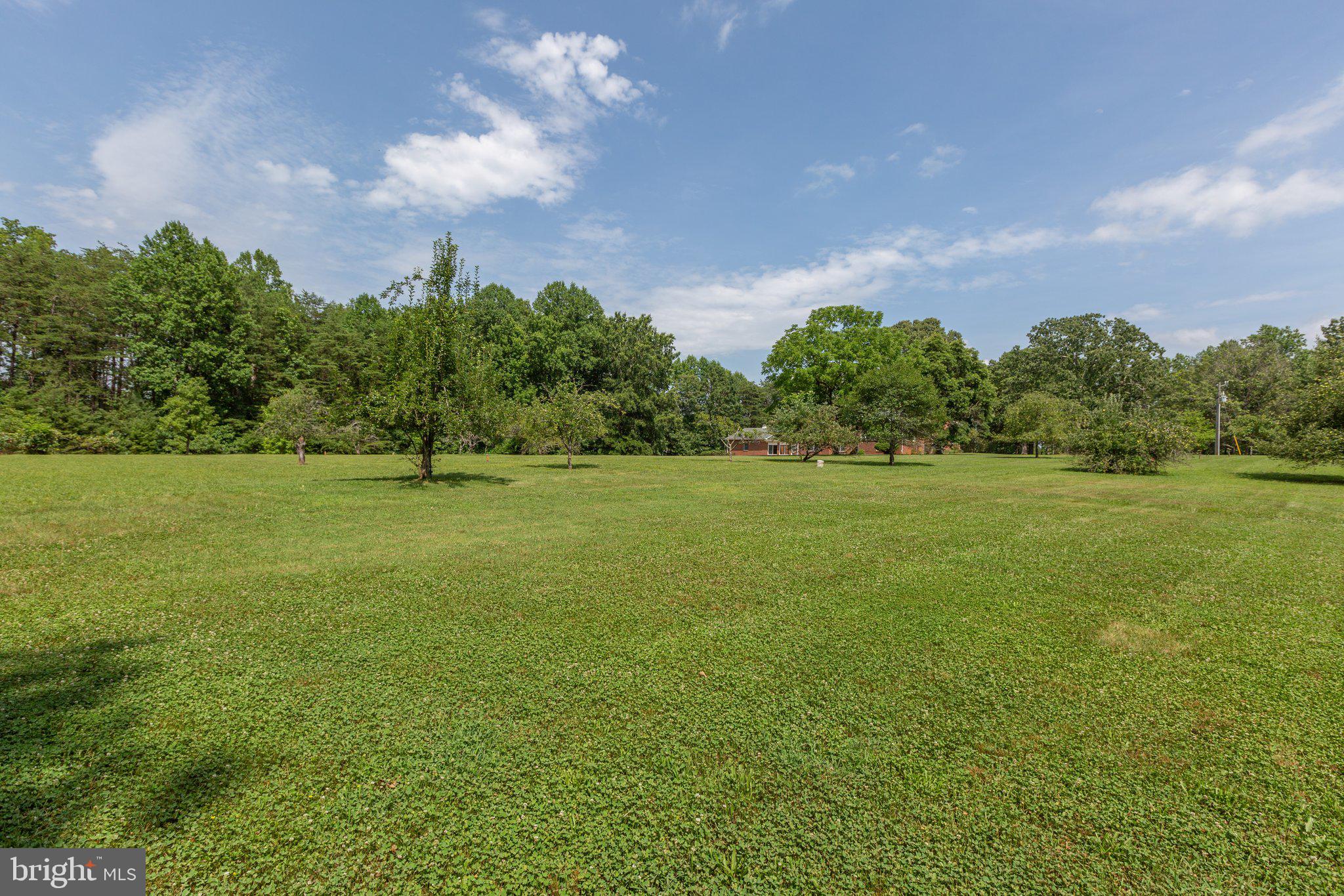 71 Cosner Road Louisa, VA 23093 - Photo 60 of 82 Backyard