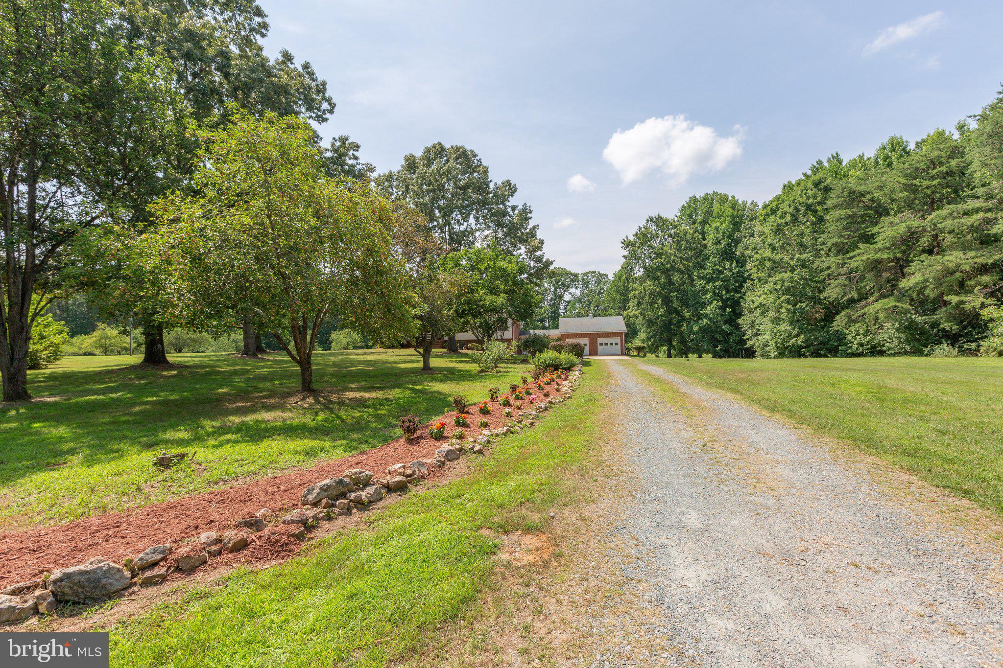 71 Cosner Road Louisa, VA 23093 - Photo 6 of 82 Driveway up to home