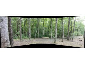 237 Kenny Way Del Rio, TN 37727 - Photo 14 of 21 View from Front Porch