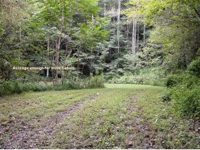 237 Kenny Way Del Rio, TN 37727 - Photo 17 of 21 Has Potential for more Cabins