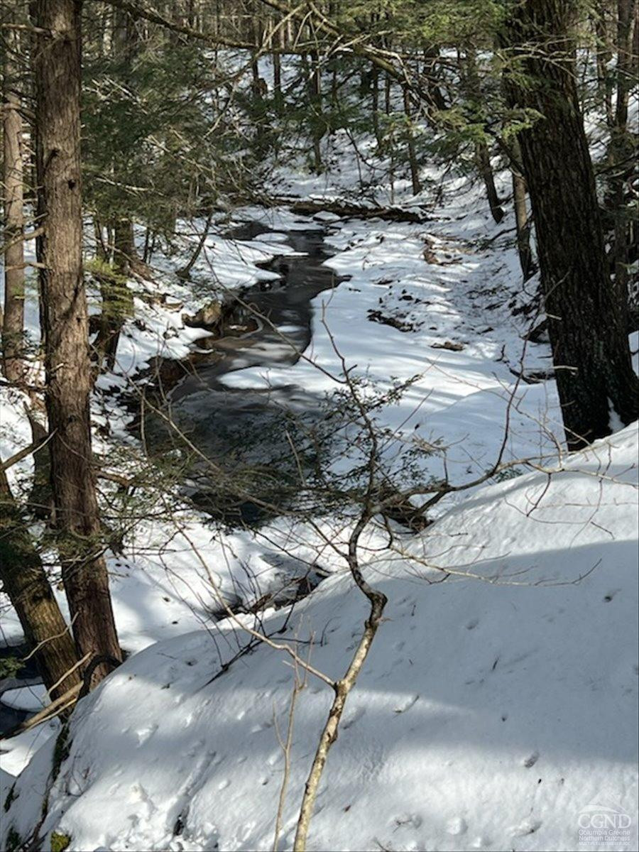 305 Maple Lawn Road Cairo, NY 12473 - Photo 13 of 16 a view of a dry yard with wooden fence