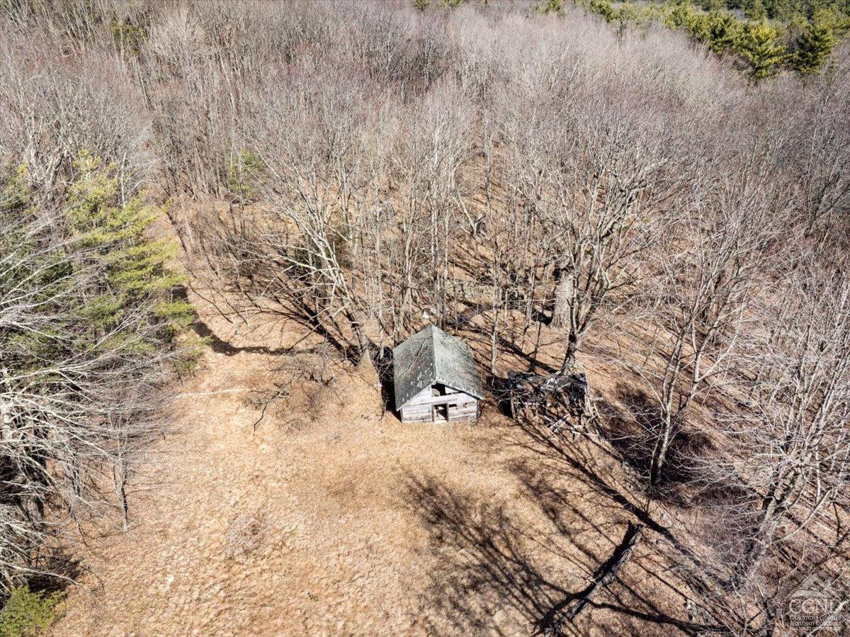 305 Maple Lawn Road Cairo, NY 12473 - Photo 15 of 16 a view of snow in between the field
