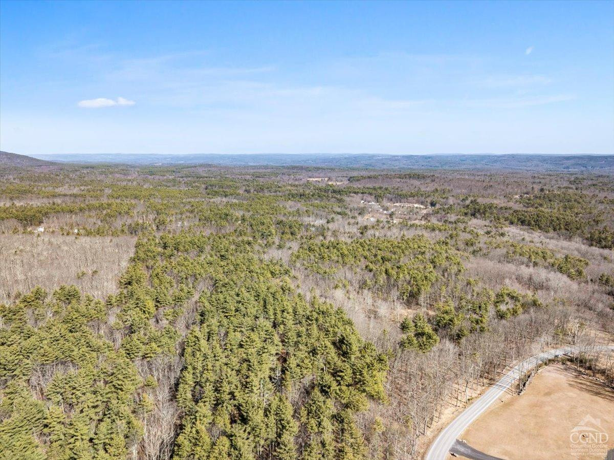 305 Maple Lawn Road Cairo, NY 12473 - Photo 16 of 16