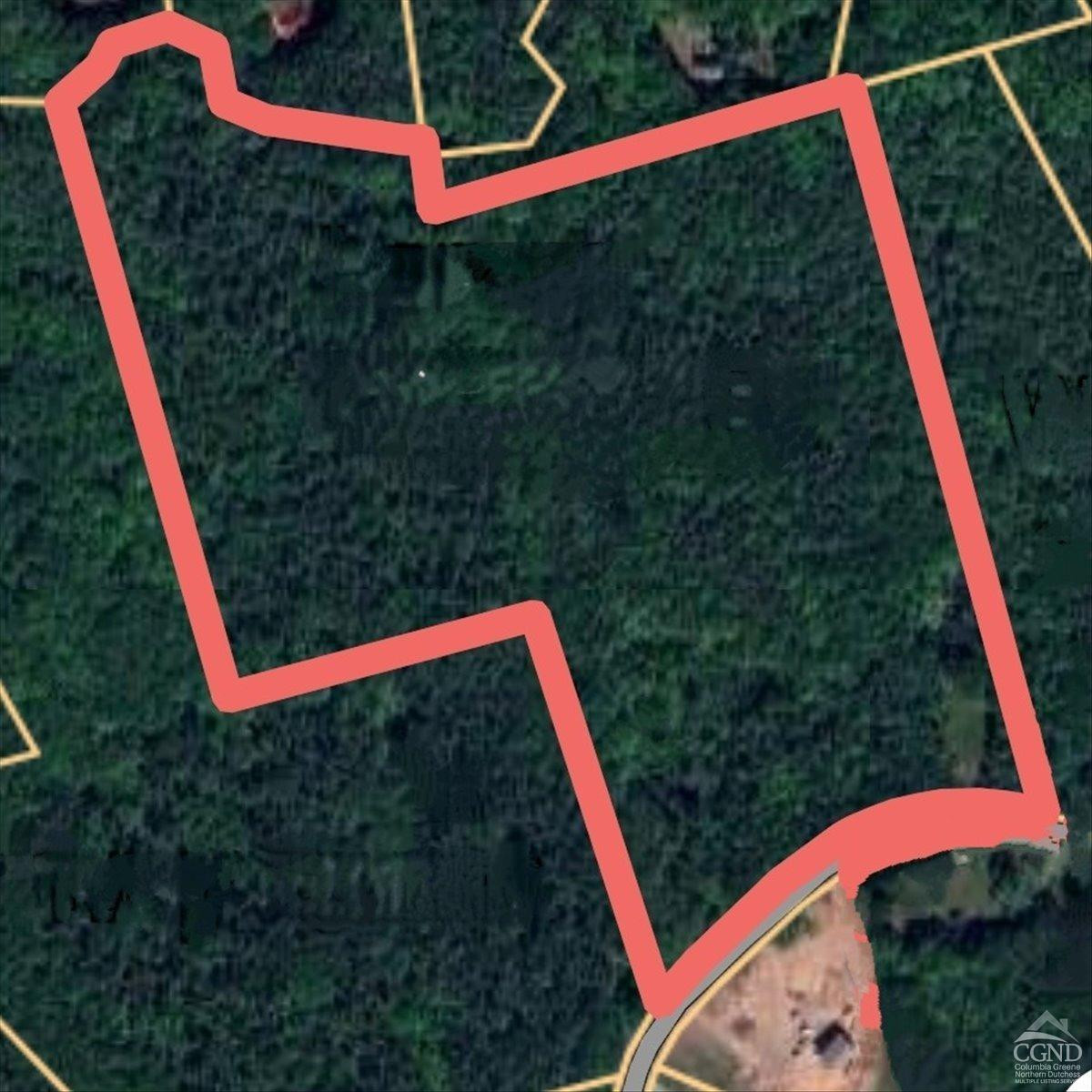 305 Maple Lawn Road Cairo, NY 12473 - Photo 3 of 16 a view of a backyard