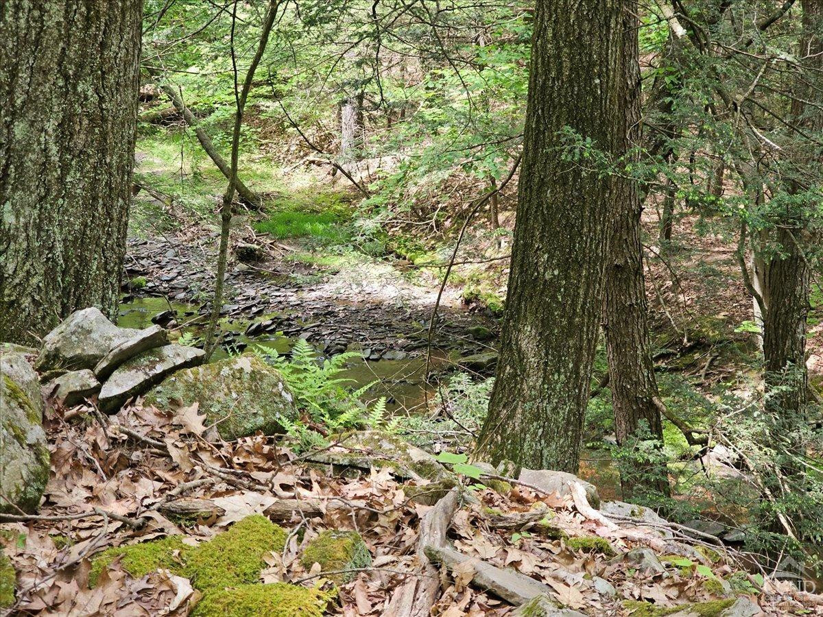 305 Maple Lawn Road Cairo, NY 12473 - Photo 7 of 16 a backyard of a house with lots of green space