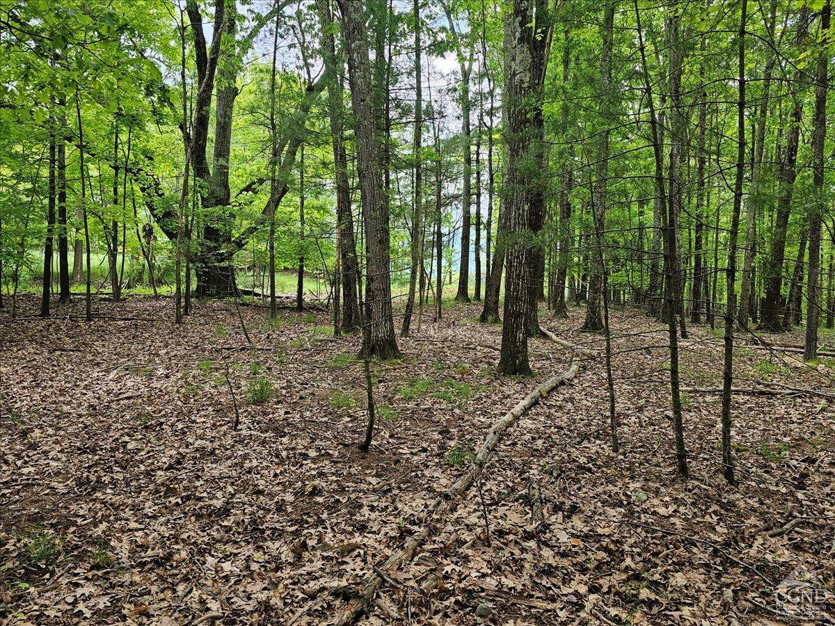 305 Maple Lawn Road Cairo, NY 12473 - Photo 10 of 16 a backyard of a house with lots of green space