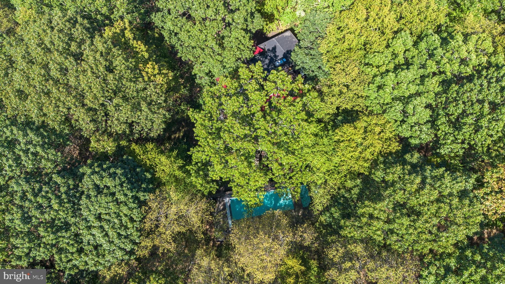 2905 Ash Mill Road Doylestown, PA 18902 - Photo 73 of 74