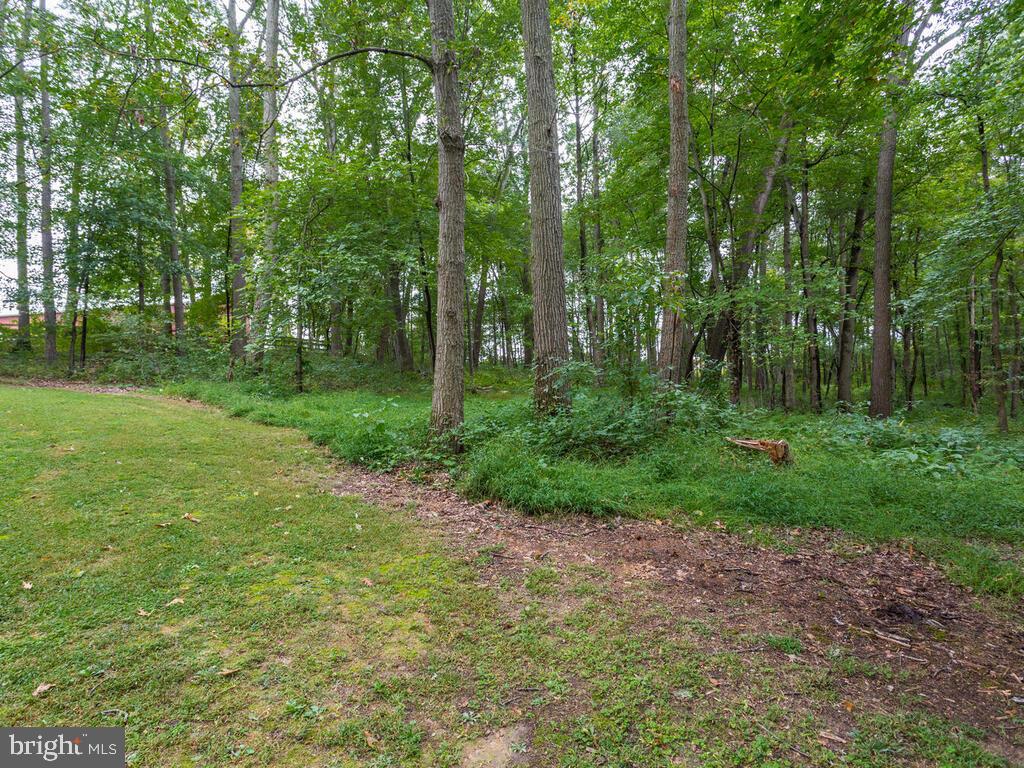 3619 Carrollton Road Upperco, MD 21155 - Photo 65 of 82 Beautiful views everywhere you look