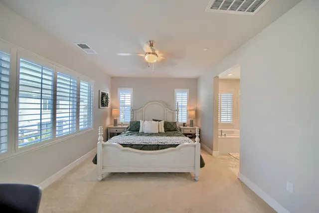 a view of a backyard with plants and a garden