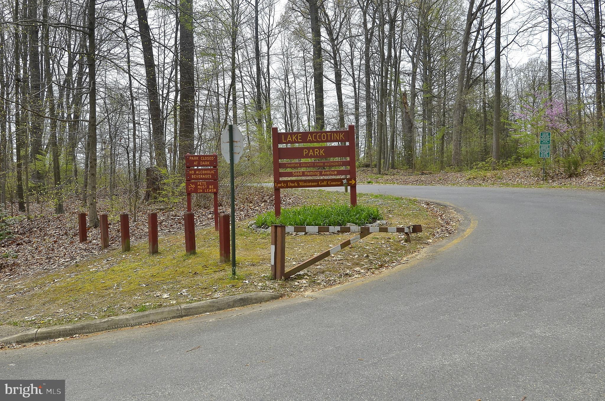 7910 Ellet Road Springfield, VA 22151 - Photo 43 of 47 Lake Accotink Park