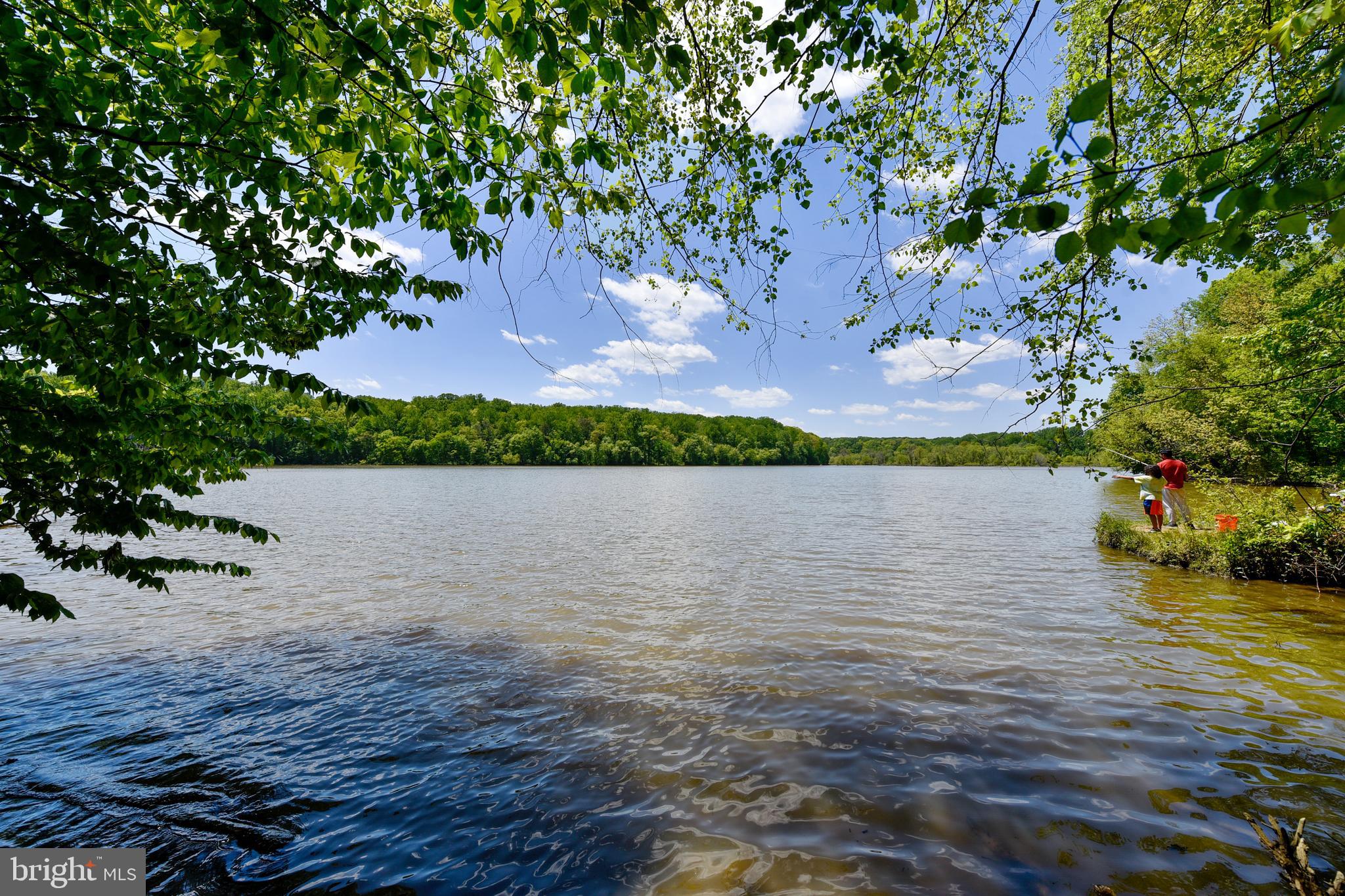 7910 Ellet Road Springfield, VA 22151 - Photo 47 of 47 Lake Accotink