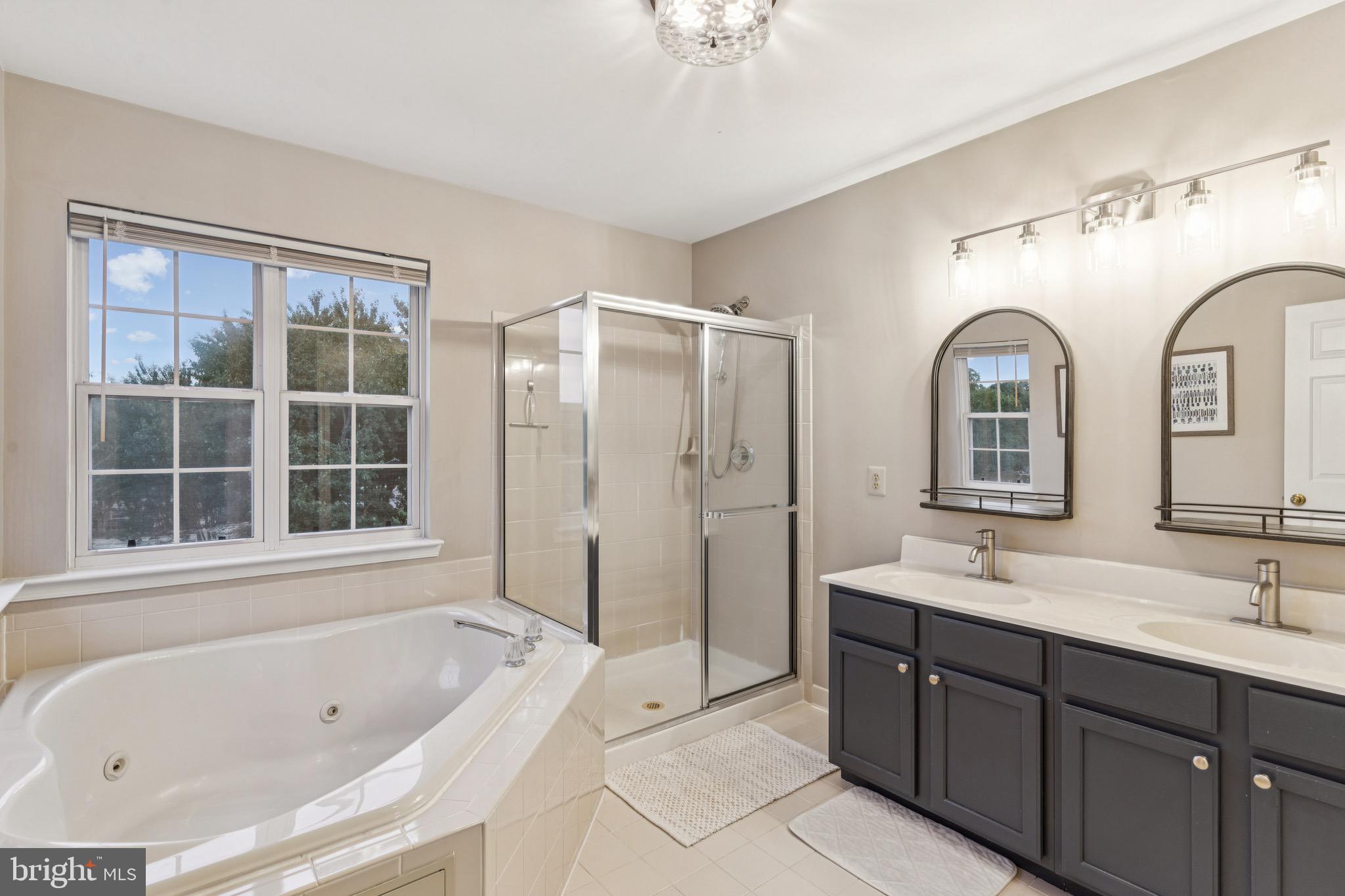 3844 Glebe Meadow Way Edgewater, MD 21037 - Photo 16 of 20 a spacious bathroom with a tub sink shower and mirror