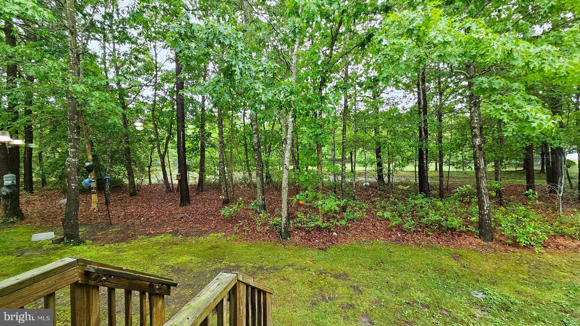 380 Radio Road, Unit B 6 Little Egg Harbor, NJ 08087 - Photo 14 of 33 a view of backyard with trees