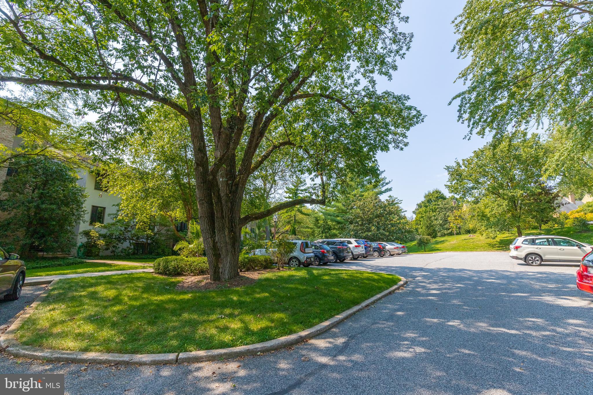 102 Cross Keys Road, Unit R102B Baltimore, MD 21210 - Photo 20 of 20