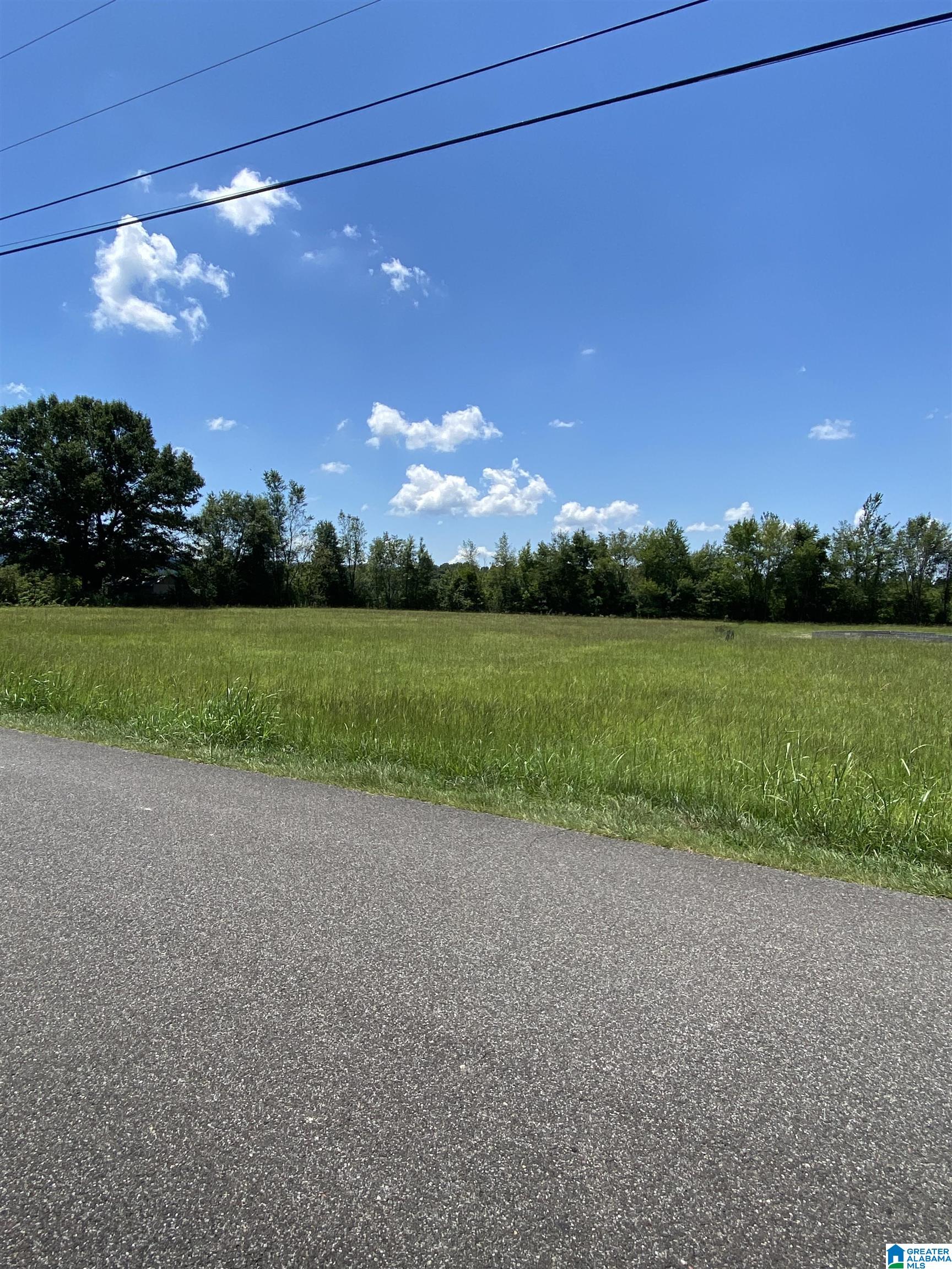 0 Myers Road Odenville, AL 35120 - Photo 4 of 7