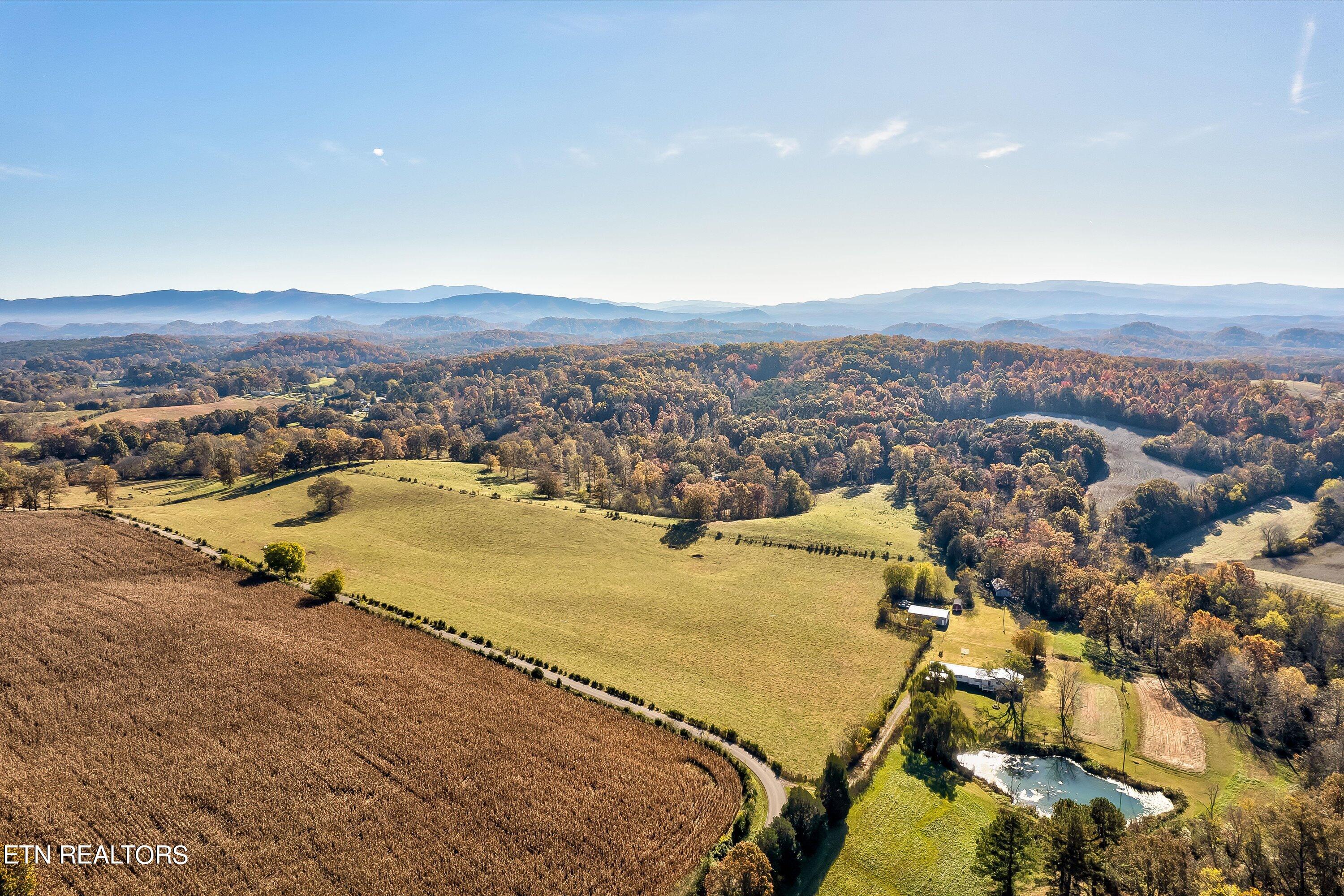 Trigonia Road Maryville, TN 37801 - Photo 2 of 3 2-Trigonia Rd-11