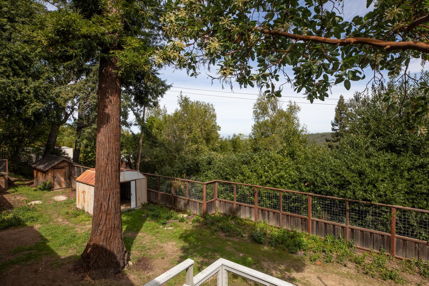 244 Bonita Road Portola Valley, CA 94028 - Photo 11 of 14