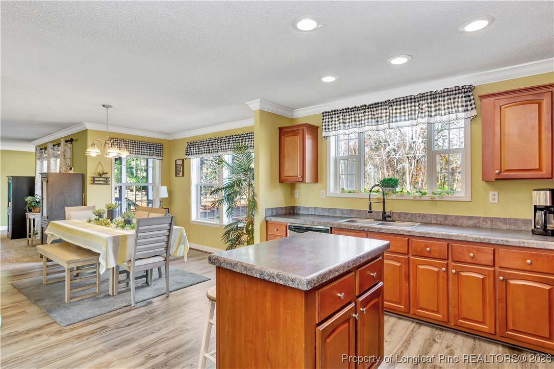 1010 Kite Road Lumberton, NC 28358 - Photo 12 of 41