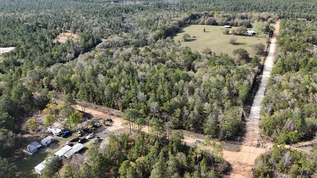 a view of a yard with a tree
