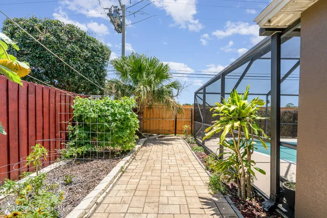 a view of a backyard with plants