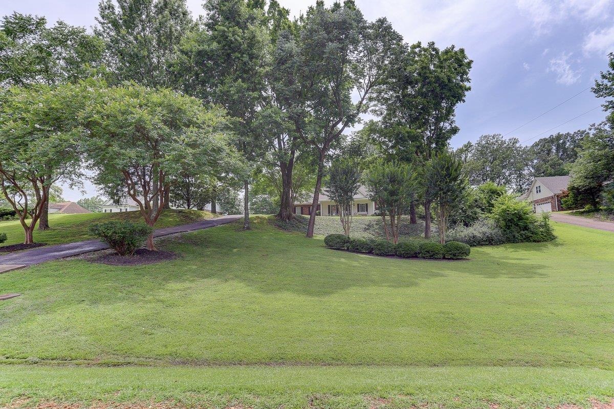 3365 Harrell Road Arlington, TN 38002 - Photo 35 of 36 a view of garden with trees