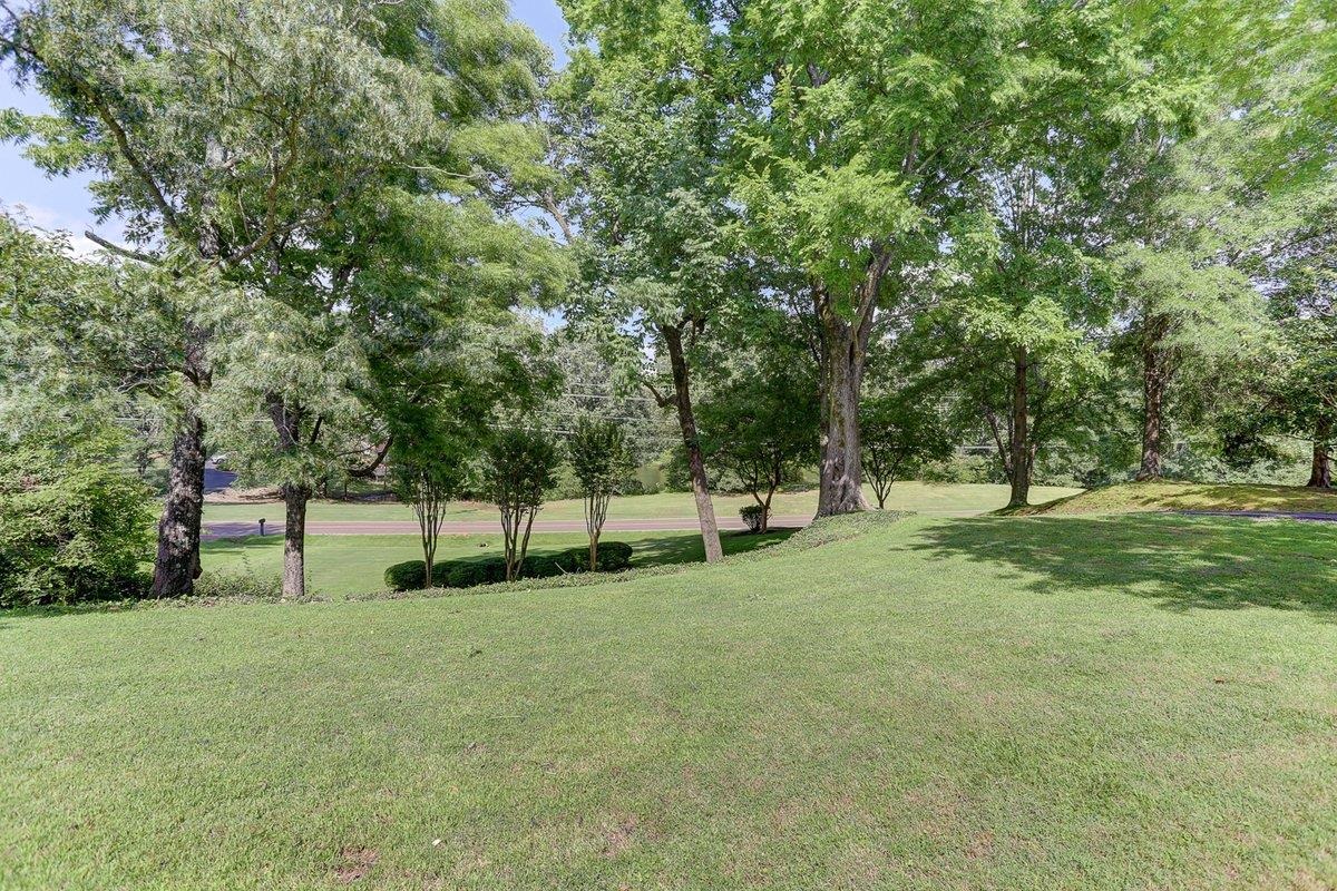 3365 Harrell Road Arlington, TN 38002 - Photo 4 of 36 a view of a park with large trees