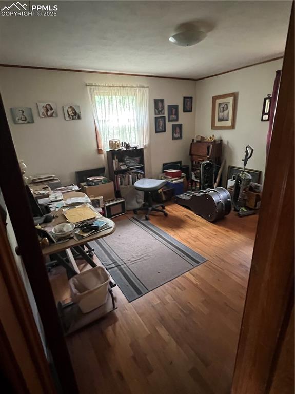 4415 Heizer Street Cascade, CO 80809 - Photo 22 of 50 2nd main level bedroom that could be used as an office, with 2 windows for more natural light