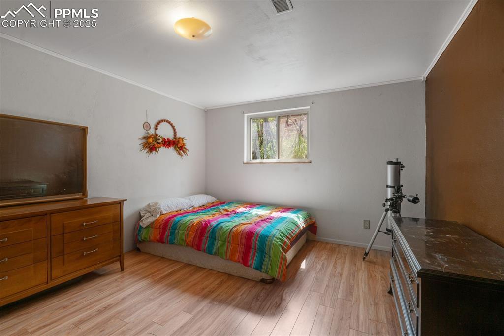 4415 Heizer Street Cascade, CO 80809 - Photo 29 of 50 Higher ceilings in basement bedroom