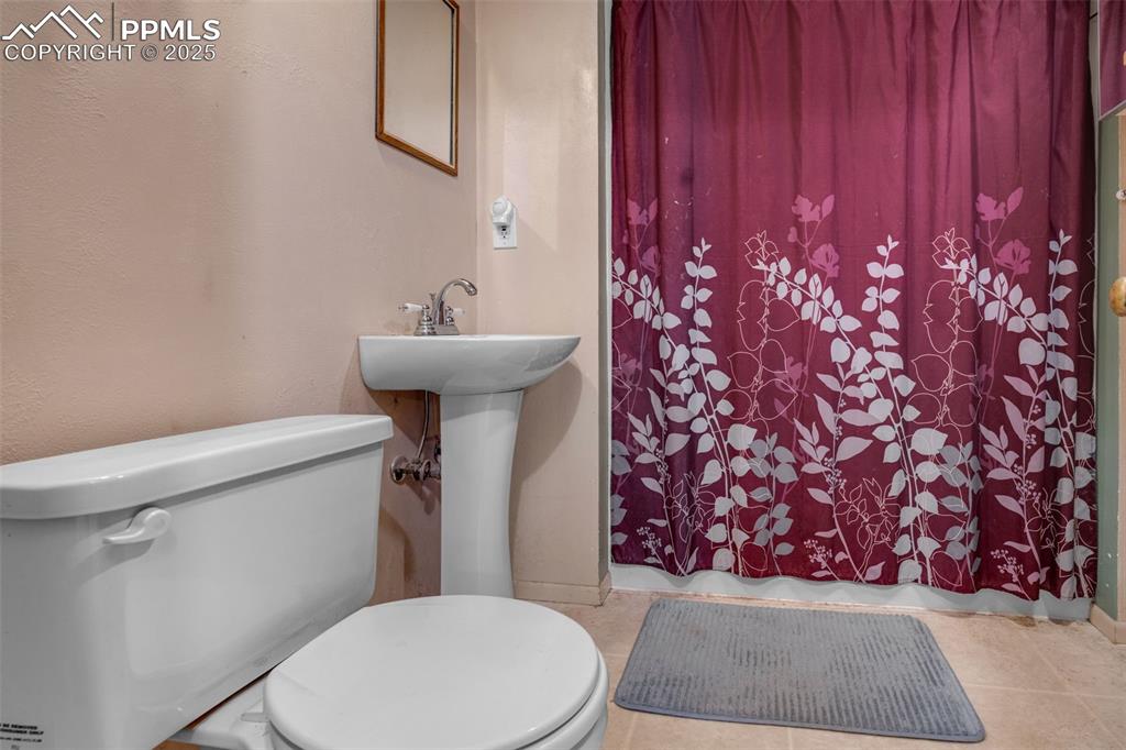 4415 Heizer Street Cascade, CO 80809 - Photo 30 of 50 Full lower bathroom