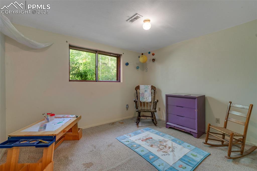 4415 Heizer Street Cascade, CO 80809 - Photo 33 of 50 2nd basement bedroom