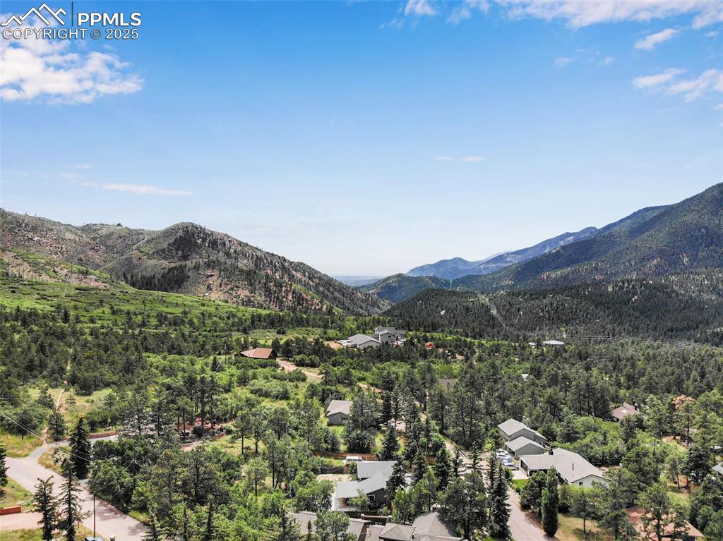 4415 Heizer Street Cascade, CO 80809 - Photo 41 of 50