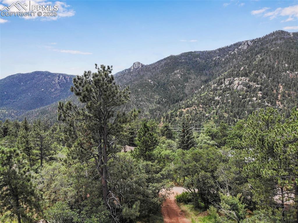 4415 Heizer Street Cascade, CO 80809 - Photo 42 of 50 Mountain view