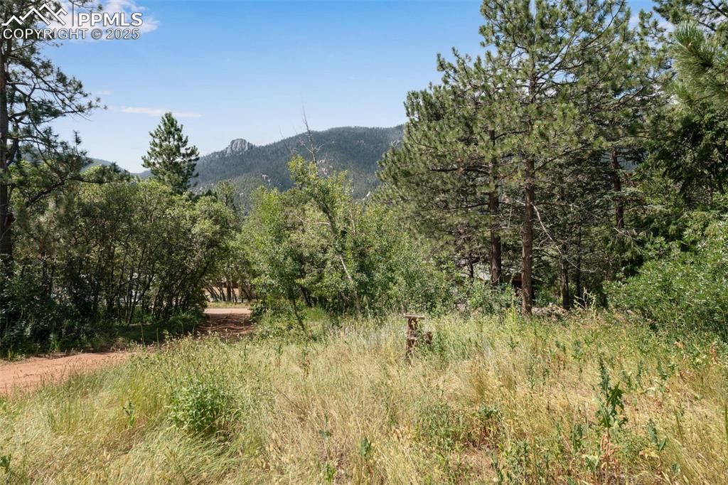 4415 Heizer Street Cascade, CO 80809 - Photo 44 of 50 View of mountain and front part of lot with driveway