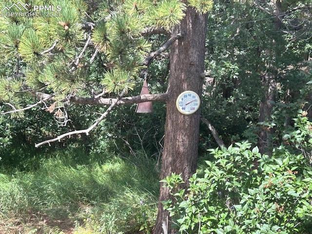 4415 Heizer Street Cascade, CO 80809 - Photo 46 of 50