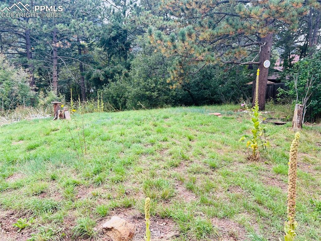 4415 Heizer Street Cascade, CO 80809 - Photo 49 of 50