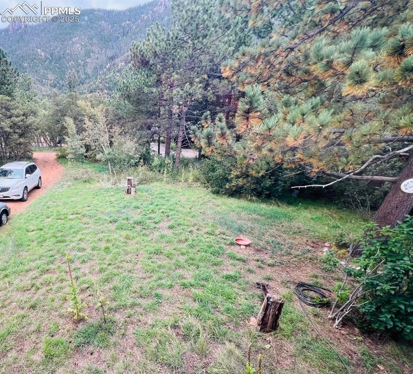 4415 Heizer Street Cascade, CO 80809 - Photo 50 of 50 Grassy yard with a mountain view