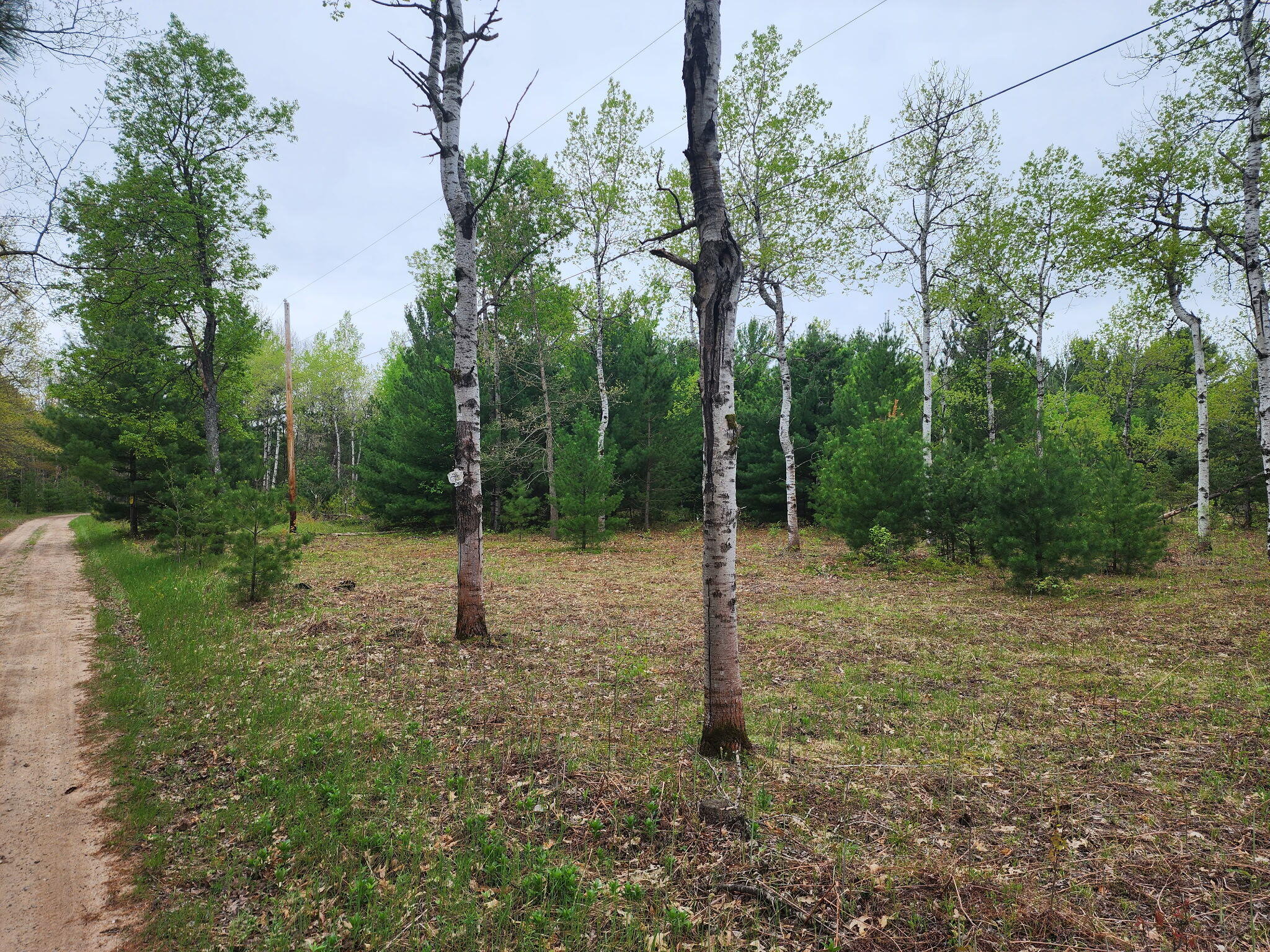 0 Hall Creek Road Interlochen, MI 49643 - Photo 13 of 14 20260524_095120