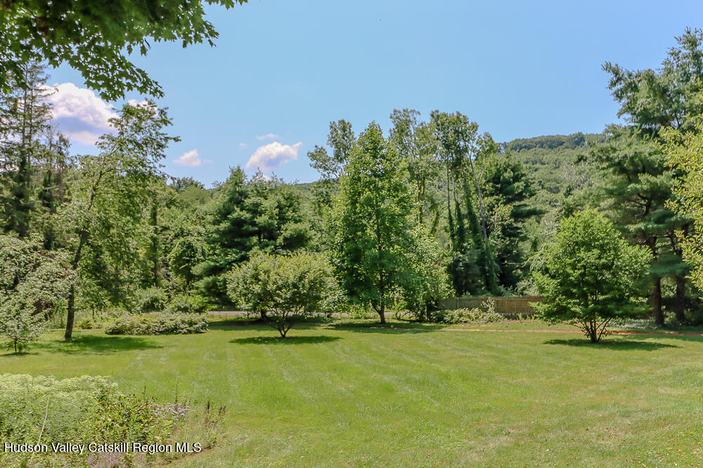 277 Clark Road Chatham, NY 12060 - Photo 9 of 34 side yard