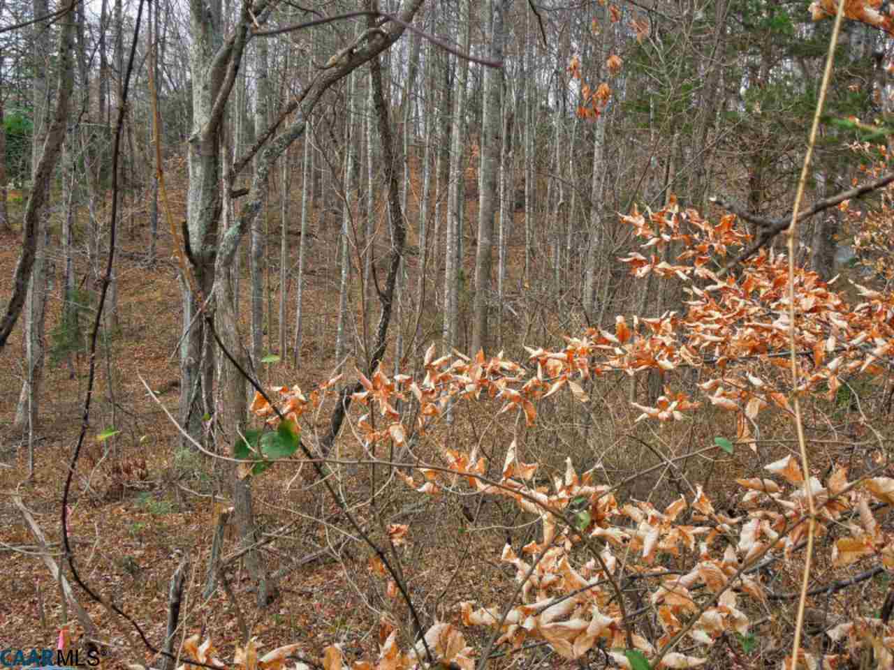 Lot 63 Turkey Ridge Road Charlottesville, VA 22903 - Photo 1 of 6 a view of garden