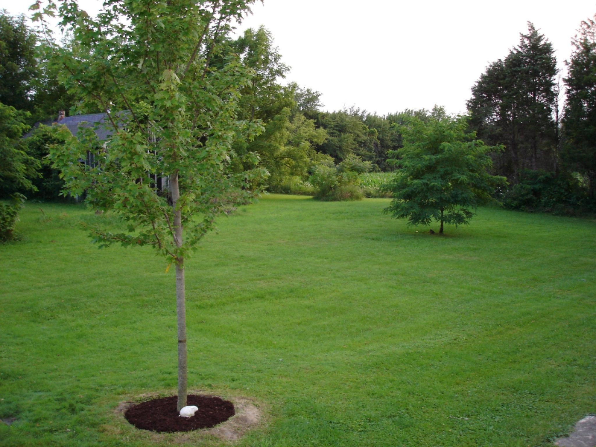 16610 Three Oaks Road Three Oaks, MI 49128 - Photo 24 of 27 21