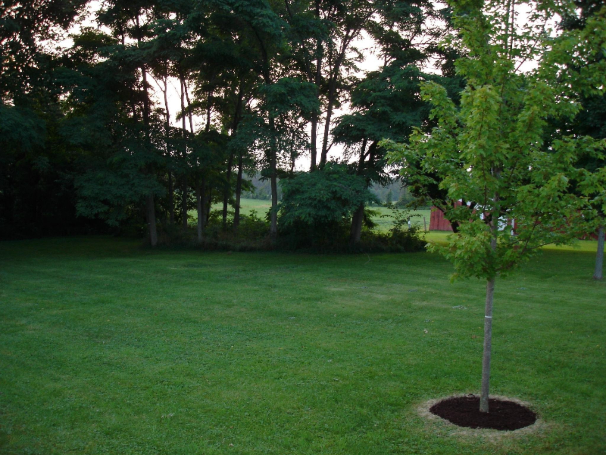 16610 Three Oaks Road Three Oaks, MI 49128 - Photo 25 of 27 22